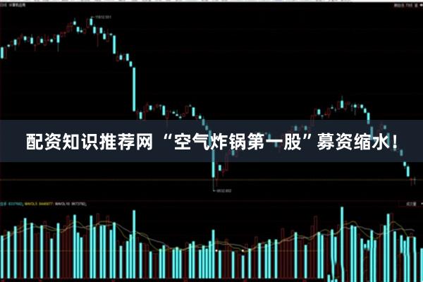 配资知识推荐网 “空气炸锅第一股”募资缩水！