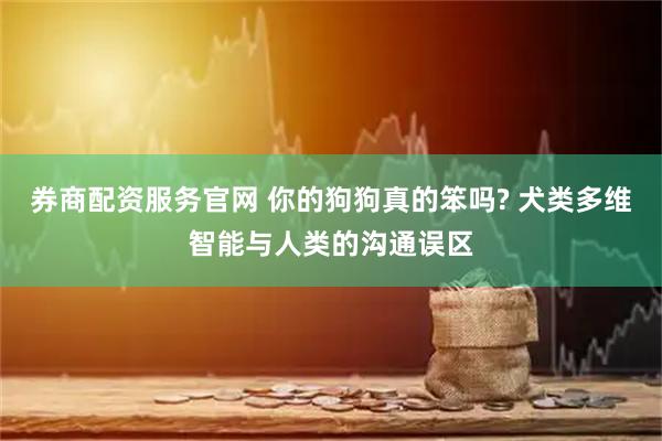 券商配资服务官网 你的狗狗真的笨吗? 犬类多维智能与人类的沟通误区